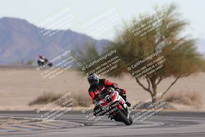 media/Nov-30-2025-TrackXperience (Sun) [[c0061d280f]]/2-Level 2/Session 6 Turn 4 Tree of Life/